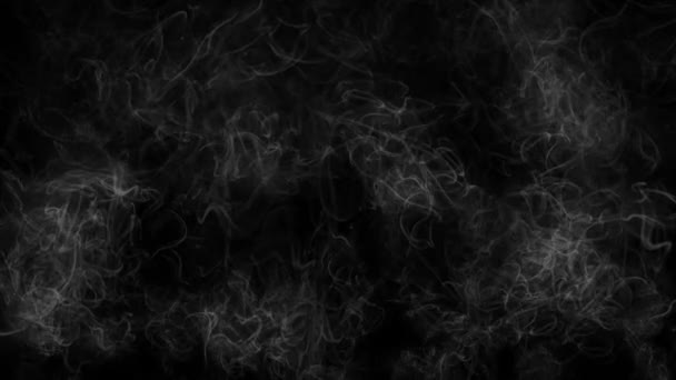 Рисунок Движения Белого Дыма Простом Черном Фоне — стоковое видео