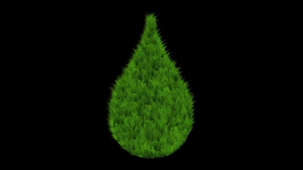 Símbolo Gota Con Efecto Hierba Verde Sobre Fondo Negro Liso — Vídeos de Stock