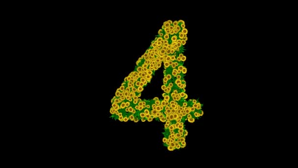 Номер Желтыми Цветами Маргаритки Зелеными Листьями Обычном Черном Фоне — стоковое видео