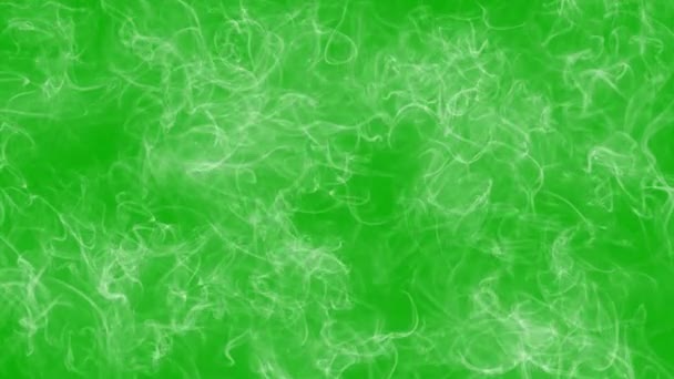 緑のスクリーンの背景の白い煙の遅い動き — ストック動画