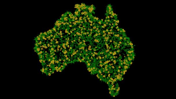 オーストラリアの黄色いデイジーな花と緑の葉が平らな黒の背景にマップ — ストック動画
