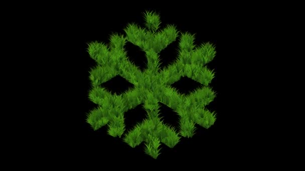 Snöflinga Form Med Grönt Gräs Effekt Vanlig Svart Bakgrund — Stockvideo
