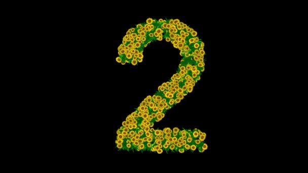 Номер Жовтими Ромашковими Квітами Зеленим Листям Звичайному Чорному Тлі — стокове відео