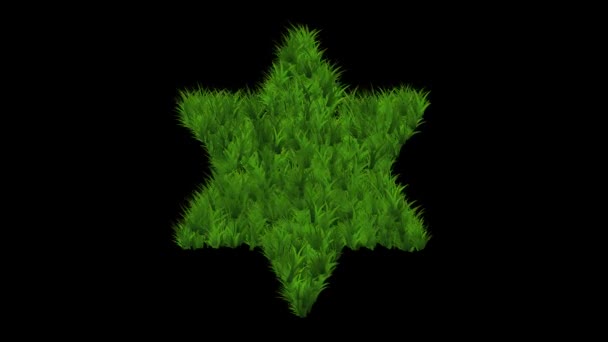 Forma Estrela Com Efeito Grama Verde Fundo Preto Liso — Vídeo de Stock