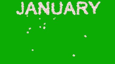 Yeşil ekran arka planında kiraz çiçekleriyle Ocak metni