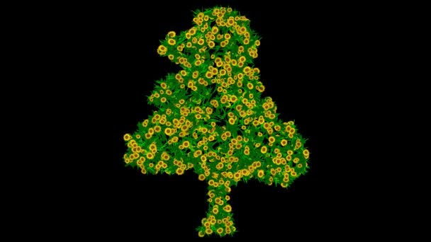 Forma Árvore Com Flores Margarida Amarelas Folhas Verdes Fundo Preto — Vídeo de Stock
