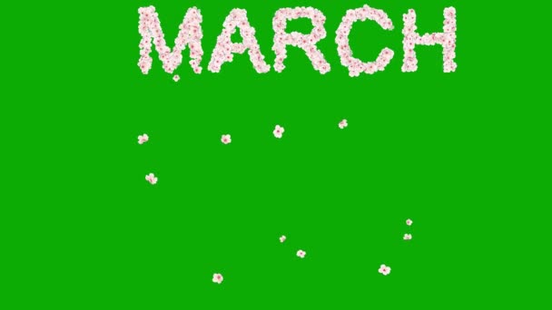 Teks Maret Dengan Bunga Ceri Pada Latar Belakang Layar Hijau — Stok Video