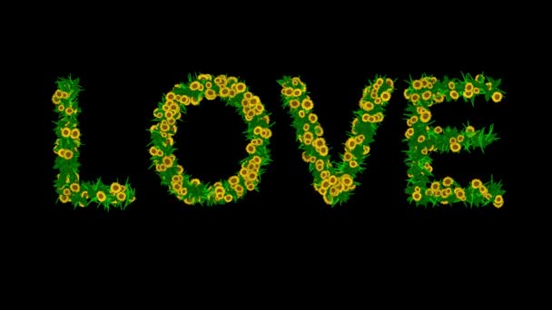 Szerelem Szöveg Sárga Százszorszép Virágok Zöld Levelek Egyszerű Fekete Háttér — Stock videók