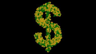 Sarı papatya çiçekleri ve siyah arka planda yeşil yapraklı dolar sembolü.