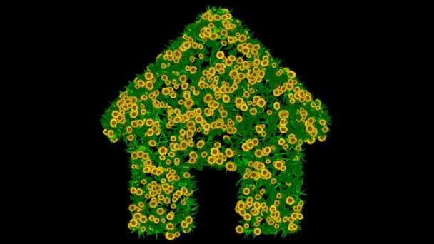 Форма Дома Желтыми Цветами Маргаритки Зелеными Листьями Обычном Черном Фоне — стоковое видео
