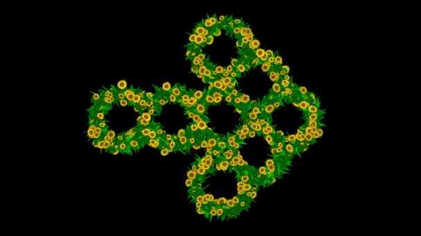 Symbol Strzałki Żółtymi Kwiatami Stokrotki Zielonymi Liśćmi Czarnym Tle — Wideo stockowe