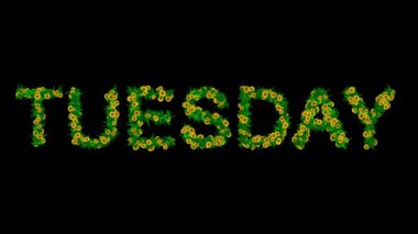 Salı günü sarı papatya çiçekleri ve sade siyah arka planda yeşil yapraklarla yazılmış mesaj.