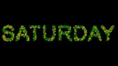 Sade siyah arka planda yeşil yapraklar ve sarı papatya çiçekleri olan Cumartesi metni