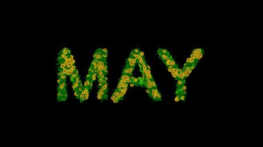 Yeşil yapraklı ve sarı papatya çiçekli düz siyah arkaplan