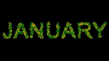 Yeşil yapraklı ve sarı papatya çiçekli ocak metni düz siyah arkaplan