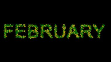 Sade siyah arkaplanda yeşil yapraklar ve sarı papatya çiçekleriyle Şubat metni