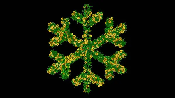Yeşil yapraklı ve sarı papatya çiçekli, düz siyah arkaplanlı kar tanesi şeklinin güzel bir örneği.