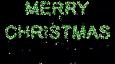 Yeşil yapraklı ve sade siyah arka planda beyaz papatya çiçekli Mutlu Noeller metni