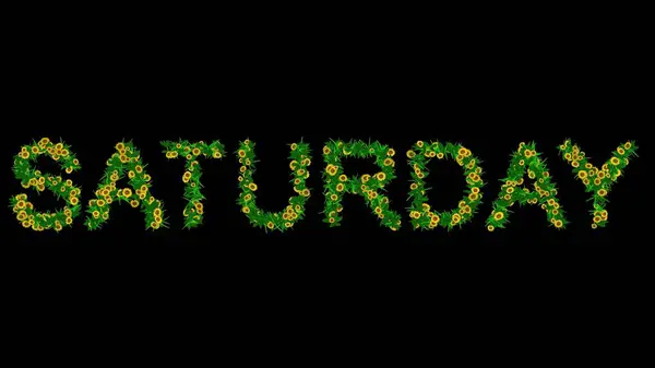 Yeşil yapraklı, sarı papatya çiçekli, sade siyah arkaplanlı Cumartesi metninin güzel bir çizimi