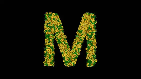 Yeşil yapraklı İngiliz alfabesi M ve sade siyah arka planda sarı papatya çiçekleri.