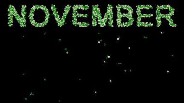 Yeşil yapraklı ve sade siyah arkaplanda beyaz papatya çiçekleriyle Kasım metni