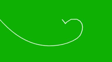 Yeşil ekran arka planında parıltılı beyaz kalp yolu