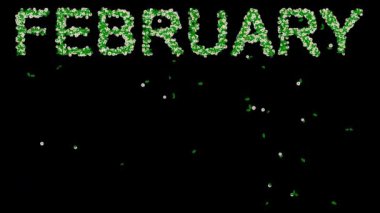 Sade siyah arkaplanda yeşil yapraklar ve beyaz papatya çiçekleriyle Şubat metni