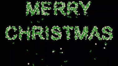 Yeşil yapraklı ve sade siyah arka planda beyaz papatya çiçekli Mutlu Noeller metni