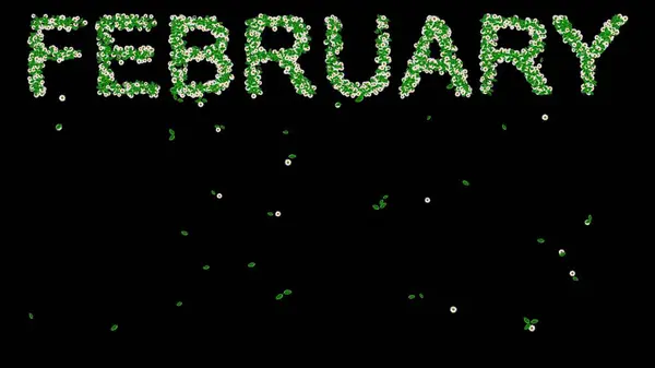 Sade siyah arkaplanda yeşil yapraklar ve beyaz papatya çiçekleriyle Şubat metninin güzel bir çizimi