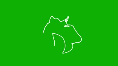 Yeşil ekran arkaplan ile beyaz dairesel yol hareketi grafikleri