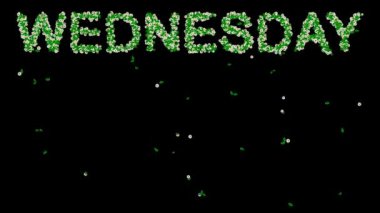 Sade siyah arkaplanda yeşil yapraklar ve beyaz papatya çiçekleri olan Çarşamba metni