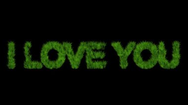 I Love You metin with green grass effect on plain black background