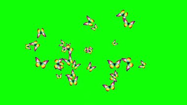 Renkli kelebekler yeşil ekran arka planına sahip hareketli grafikler sergiler