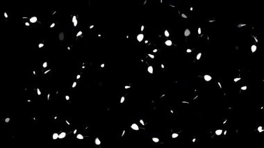 Beyaz düz siyah arkaplan ile hareket grafikleri bırakır