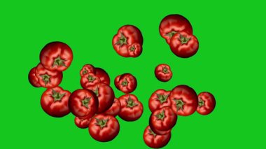 Taze kırmızı domatesler yeşil ekran arkaplanlı hareket grafikleri