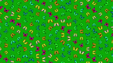 Yeşil ekran arka planına sahip renkli kelebek desenli hareket grafikleri
