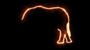 Sade siyah arkaplanda ateş etkisi olan fil sembolü