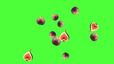 Yeşil ekran arkaplanlı incir hareketli grafikler