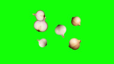 Yeşil ekran arkaplanlı taze soğan hareket grafikleri