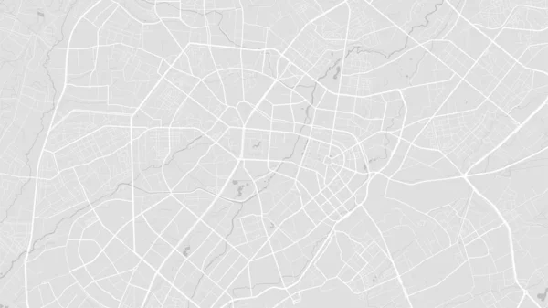 Bílá Světle Šedá Taškent Městské Oblasti Vektorové Pozadí Mapa Silnice — Stockový vektor