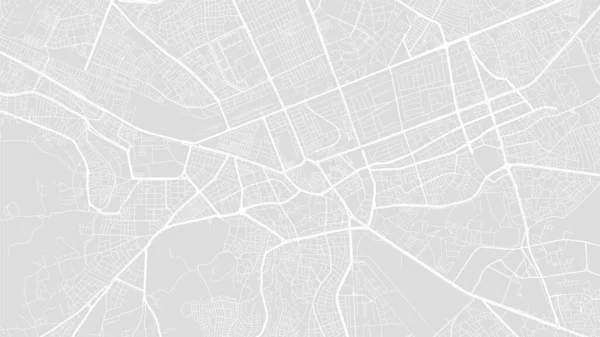 Vit Och Ljusgrå Kayseri Stadsområde Vektor Bakgrundskarta Vägar Och Vatten — Stock vektor