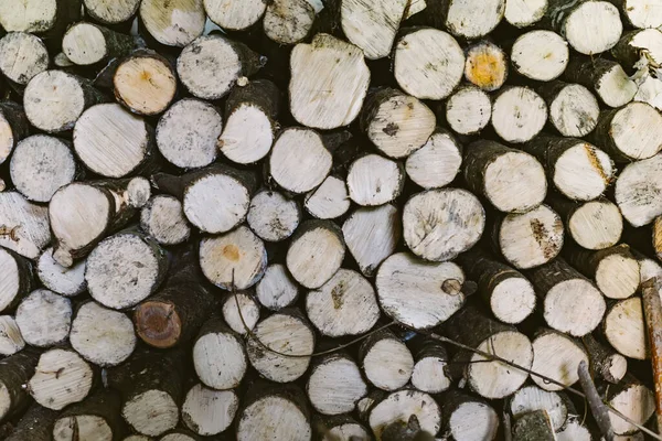 Nature Background Forest Log Bath Pattern Wood — Stock Photo, Image