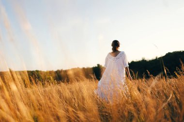 Vahşi tarladaki esmer genç kadın. Doğal güzellik ve romantizm kavramı. Gün batımı ışığı. Arkadan bak..