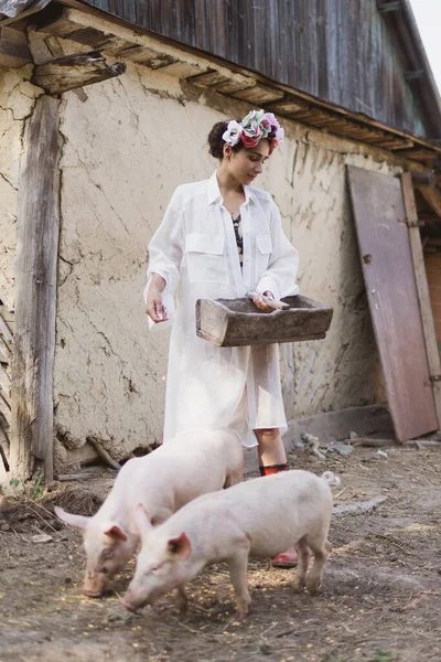 Elegante Jovem Agricultor Alimentando Porcos — Fotografia de Stock