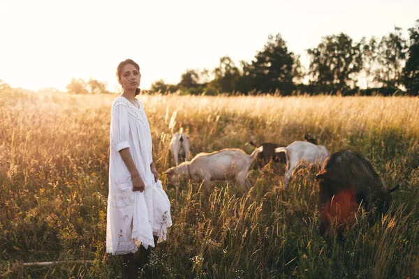 드레스를 여자는 일몰에 초원에 염소와 그녀의 유기농 농장에 그녀의 염소를 — 스톡 사진