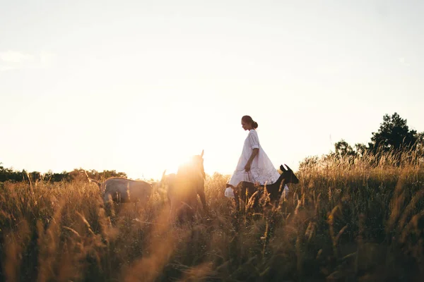 드레스를 여자는 일몰에 초원에 염소와 그녀의 유기농 농장에 그녀의 염소를 — 스톡 사진