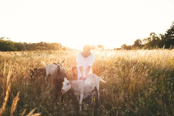 Eine Junge Frau Weißem Kleid Geht Bei Sonnenuntergang Mit Ziegen — Stockfoto