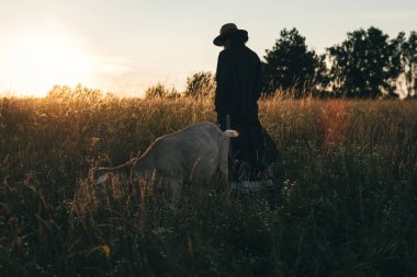 Genç kadın tarlada beyaz keçilerini otlatıyor. Kız ve keçiler yazın çayırda. Hayvanlar için sevgi. Keçi çiftliği. Evcil hayvanlar. Hayvanlı mutlu kadın. Hayvanlara şefkat ve sevgi. Evcil bir hayvanı öpüyor.