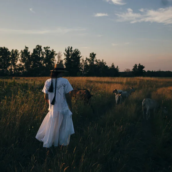 Tarladaki Genç Kadın Keçilerle Yürüyor Kız Keçiler Yazın Çayırda Hayvanlar — Stok fotoğraf