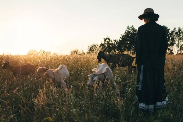 Joven Campo Está Pastando Sus Cabras Blancas Chica Las Cabras —  Fotos de Stock